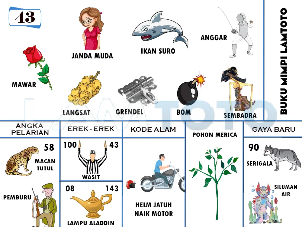 buku mimpi erek erek togel 43